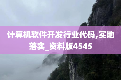 计算机软件开发行业代码,实地落实_资料版4545