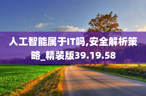 人工智能属于IT吗,安全解析策略_精装版39.19.58