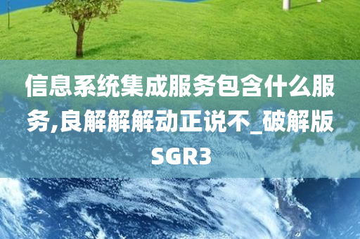 信息系统集成服务包含什么服务,良解解解动正说不_破解版SGR3