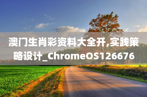 澳门生肖彩资料大全开,实践策略设计_ChromeOS126676