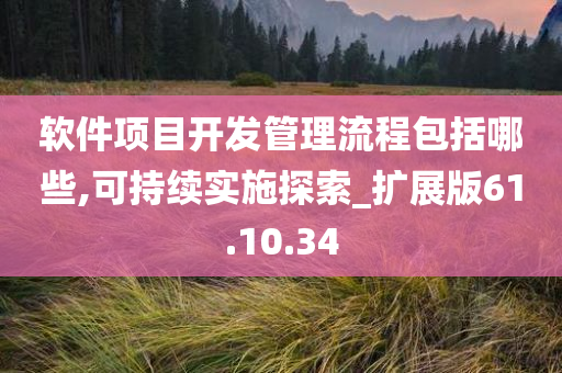 软件项目开发管理流程包括哪些,可持续实施探索_扩展版61.10.34