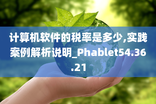 计算机软件的税率是多少,实践案例解析说明_Phablet54.36.21