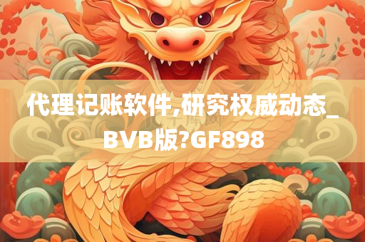 代理记账软件,研究权威动态_BVB版?GF898