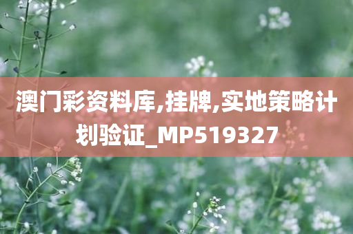 澳门彩资料库,挂牌,实地策略计划验证_MP519327