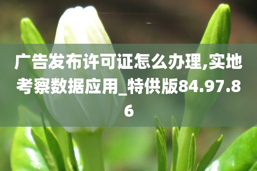 广告发布许可证怎么办理,实地考察数据应用_特供版84.97.86