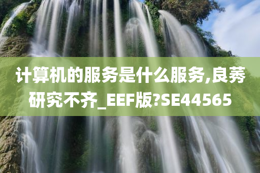 计算机的服务是什么服务,良莠研究不齐_EEF版?SE44565