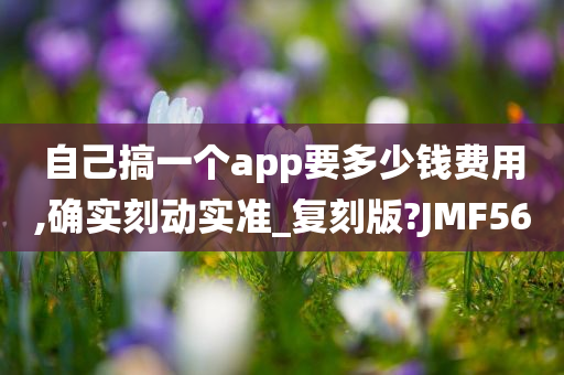 自己搞一个app要多少钱费用,确实刻动实准_复刻版?JMF56