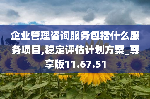 企业管理咨询服务包括什么服务项目,稳定评估计划方案_尊享版11.67.51