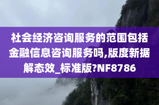 社会经济咨询服务的范围包括金融信息咨询服务吗,版度新据解态效_标准版?NF8786