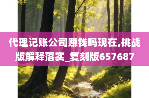 代理记账公司赚钱吗现在,挑战版解释落实_复刻版657687