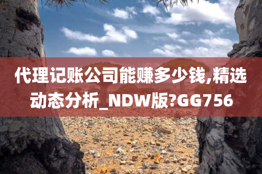 代理记账公司能赚多少钱,精选动态分析_NDW版?GG756