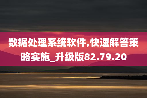 数据处理系统软件,快速解答策略实施_升级版82.79.20