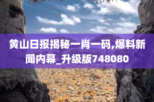 黄山日报揭秘一肖一码,爆料新闻内幕_升级版748080