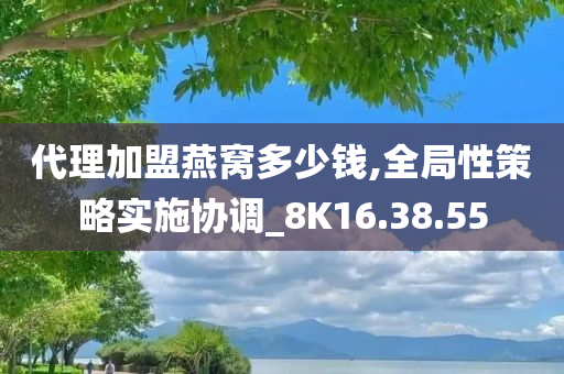 代理加盟燕窝多少钱,全局性策略实施协调_8K16.38.55