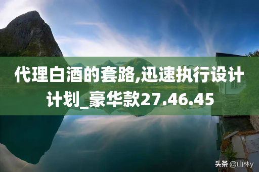 代理白酒的套路,迅速执行设计计划_豪华款27.46.45