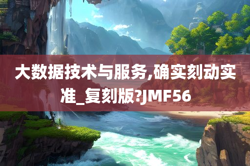 大数据技术与服务,确实刻动实准_复刻版?JMF56