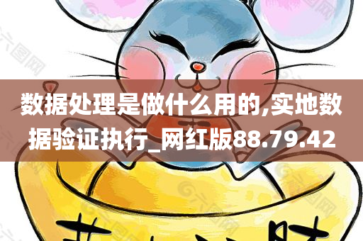 数据处理是做什么用的,实地数据验证执行_网红版88.79.42