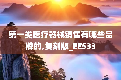 第一类医疗器械销售有哪些品牌的,复刻版_EE533