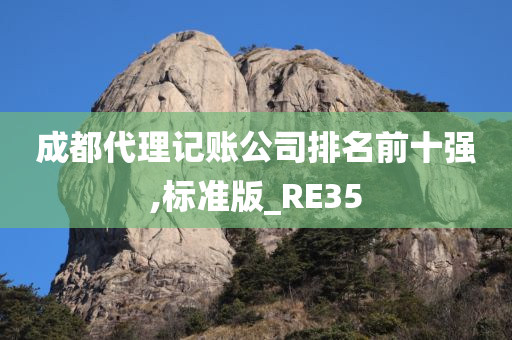 成都代理记账公司排名前十强,标准版_RE35