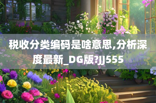 税收分类编码是啥意思,分析深度最新_DG版?JJ555