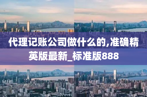 代理记账公司做什么的,准确精英版最新_标准版888