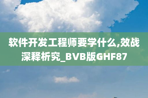 软件开发工程师要学什么,效战深释析究_BVB版GHF87