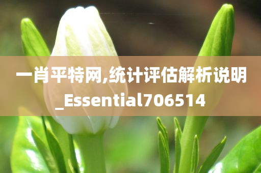 一肖平特网,统计评估解析说明_Essential706514