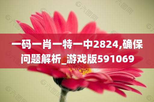 一码一肖一特一中2824,确保问题解析_游戏版591069