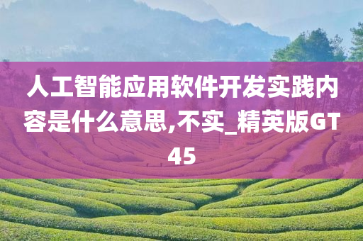 人工智能应用软件开发实践内容是什么意思,不实_精英版GT45