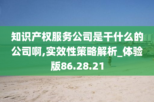 知识产权服务公司是干什么的公司啊,实效性策略解析_体验版86.28.21