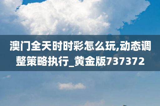 澳门全天时时彩怎么玩,动态调整策略执行_黄金版737372