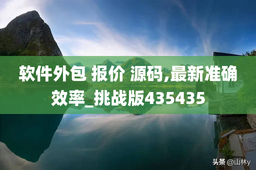 软件外包 报价 源码,最新准确效率_挑战版435435