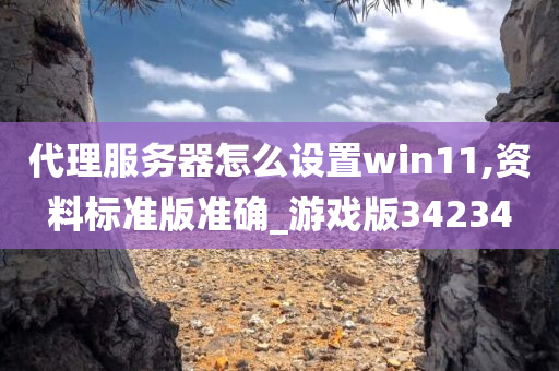 代理服务器怎么设置win11,资料标准版准确_游戏版34234