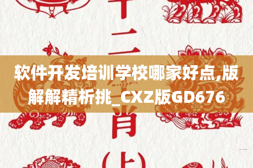 软件开发培训学校哪家好点,版解解精析挑_CXZ版GD676