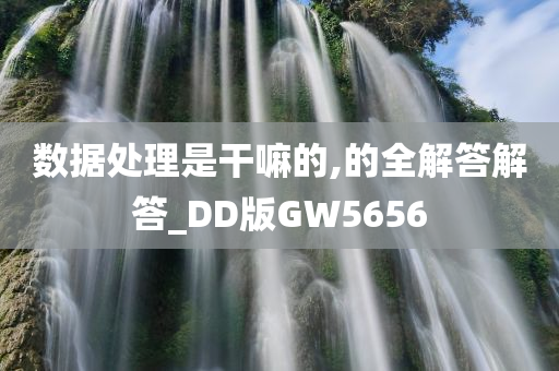 数据处理是干嘛的,的全解答解答_DD版GW5656