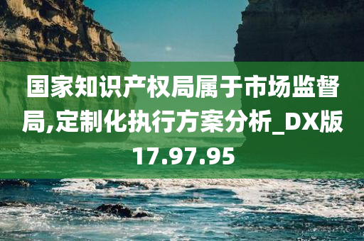 国家知识产权局属于市场监督局,定制化执行方案分析_DX版17.97.95