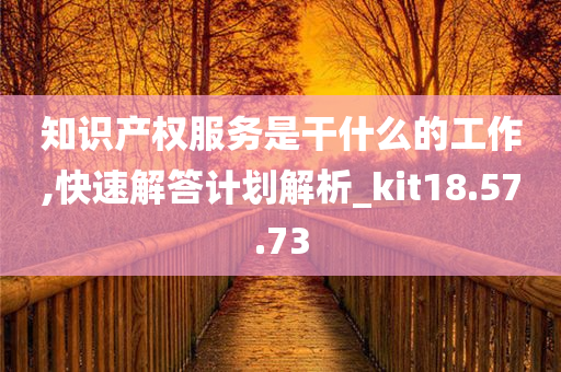 知识产权服务是干什么的工作,快速解答计划解析_kit18.57.73