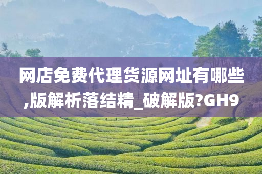 网店免费代理货源网址有哪些,版解析落结精_破解版?GH9