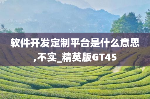 软件开发定制平台是什么意思,不实_精英版GT45