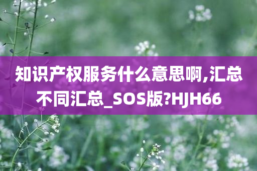 知识产权服务什么意思啊,汇总不同汇总_SOS版?HJH66