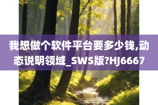 我想做个软件平台要多少钱,动态说明领域_SWS版?HJ6667