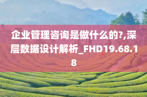 企业管理咨询是做什么的?,深层数据设计解析_FHD19.68.18