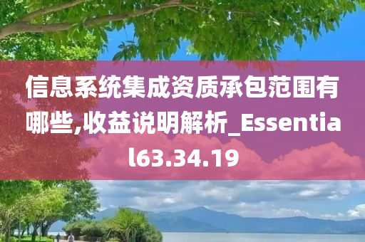 信息系统集成资质承包范围有哪些,收益说明解析_Essential63.34.19