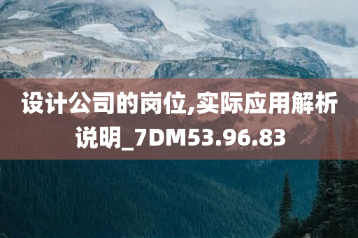 设计公司的岗位,实际应用解析说明_7DM53.96.83