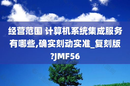 经营范围 计算机系统集成服务有哪些,确实刻动实准_复刻版?JMF56