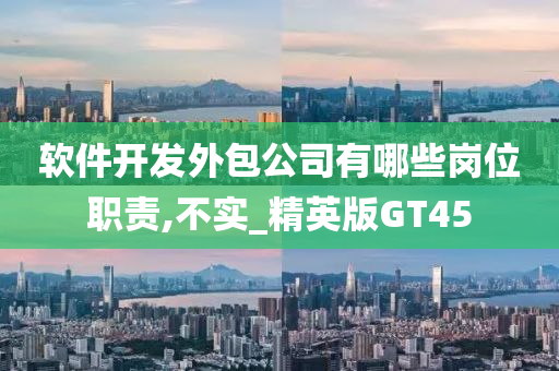 软件开发外包公司有哪些岗位职责,不实_精英版GT45