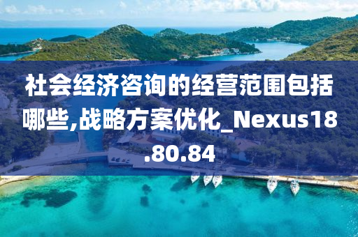 社会经济咨询的经营范围包括哪些,战略方案优化_Nexus18.80.84