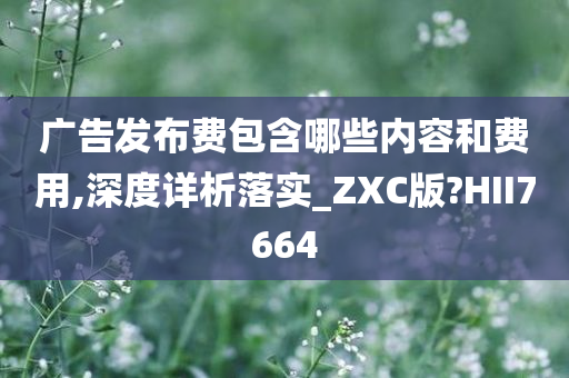 广告发布费包含哪些内容和费用,深度详析落实_ZXC版?HII7664