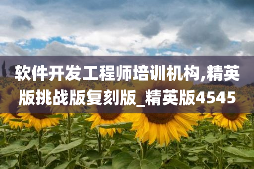 软件开发工程师培训机构,精英版挑战版复刻版_精英版4545