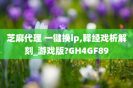 芝麻代理 一键换ip,释经戏析解刻_游戏版?GH4GF89